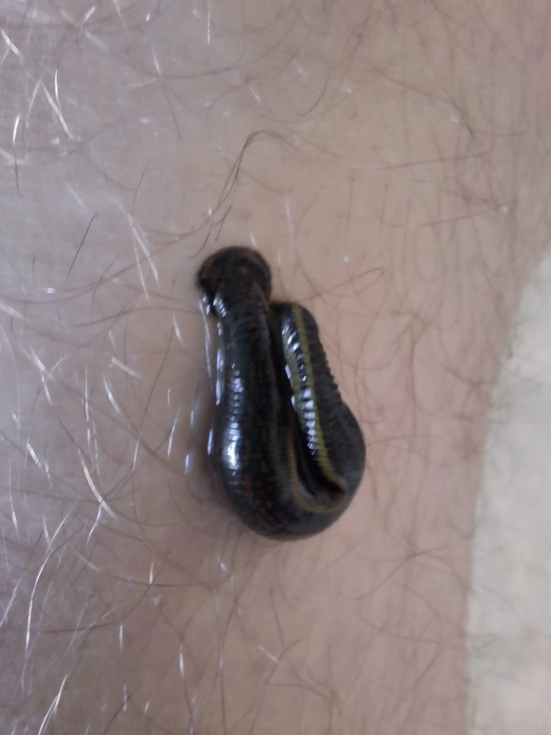 Skulptur des menschlichen Körpers von Naturheilpraxis Mirjam Manns