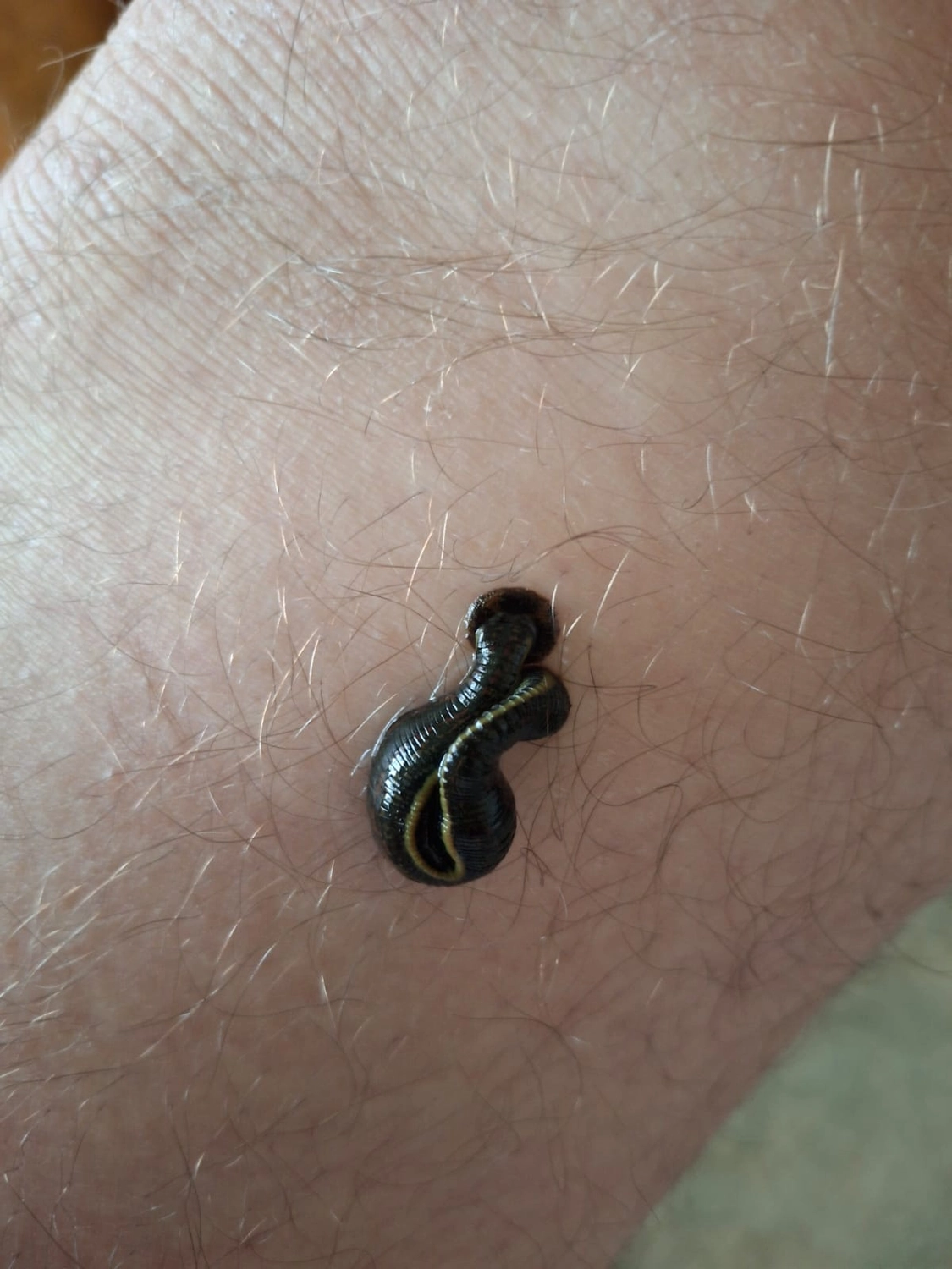 Skulptur des menschlichen Körpers von Naturheilpraxis Mirjam Manns