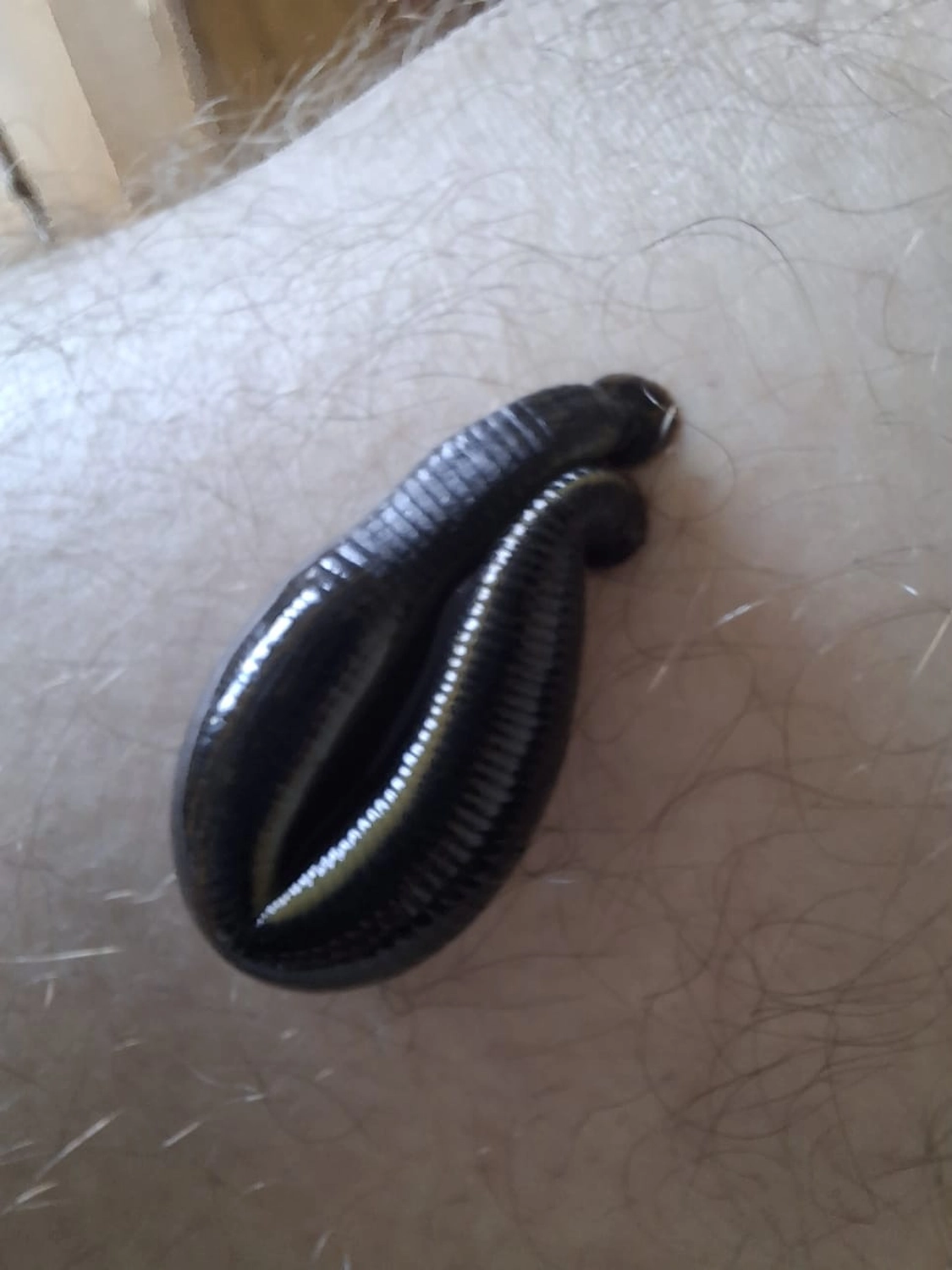 Skulptur des menschlichen Körpers von Naturheilpraxis Mirjam Manns